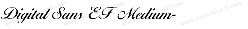 Digital Sans EF  Medium字体转换